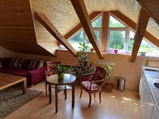 Apartmán Relax - Bělá pod Pradědem - 4