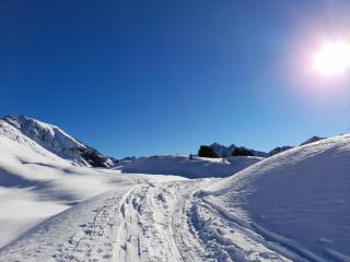 Apartment Elisabeth by Interhome - 4