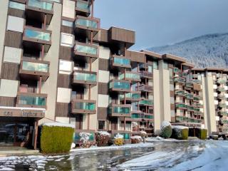 Studio Castel des roches A36 by Interhome - Saint-Gervais-les-Bains - 6