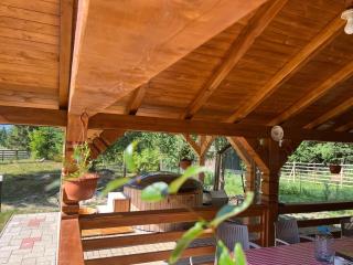 Pensiunea Pietrosul Rodnei - 6