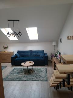 Rooftop apartment - Niš - 8