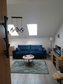 Rooftop apartment - Niš - 4