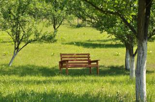 Lexor Holiday Home - Tuzla - 2