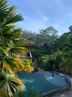 The Lumbung Jaya by Uniquecations - Tegalalang - 9