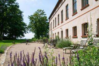 Gutshaus Zarchlin - Zarchlin - 9