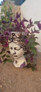 Rahat Ev - Bodrum - 0