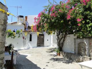 Christin P. Cute home with patio - Kritsa - 7
