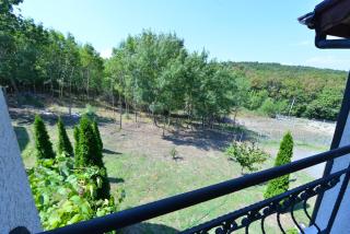 Villa Aspen Guest House - Primorsko - 7