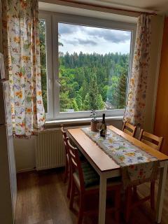 Apartmánek Protěž - Janské Lázně - 2