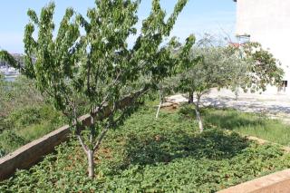 Apartments with parking space Pula - 7681 - 4