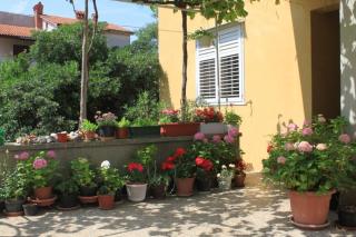 Apartments with a parking space Cres - 7994 - 3