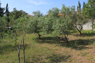 Holiday house with WiFi Stivan, Cres - 7995 - Štivan - 4