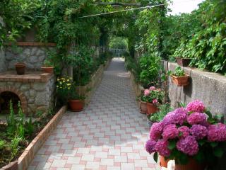 Apartments and rooms with parking space Nerezine, Losinj - 8049 - Nerezine - 4