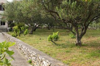 Holiday house with a parking space Sveti Jakov, Losinj - 7950 - Nerezine - 4