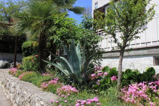 Apartments with a parking space Opric, Opatija - 7716 - Lovran - 4