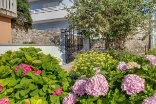 Apartments by the sea Mali Losinj (Losinj) - 7974 - Mali Lošinj - 2
