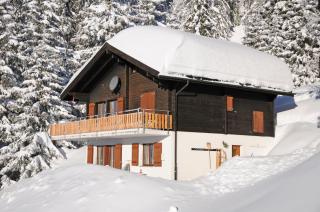 Favorite Parterre - Riederalp - 9