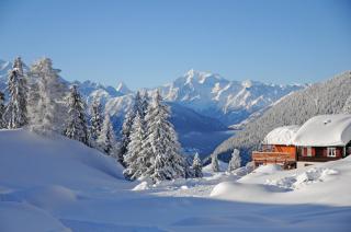 Favorite Parterre - 8