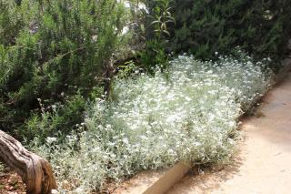 Holiday house with a parking space Brsec, Opatija - 7795 - 2