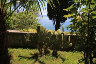 Apartments by the sea Opatija - Volosko, Opatija - 7862 - 2