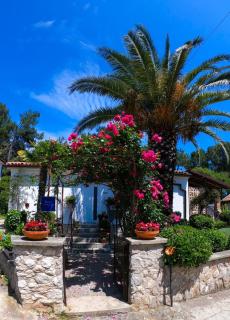 Apartments by the sea Artatore, Losinj - 8020 - Cunski - 8