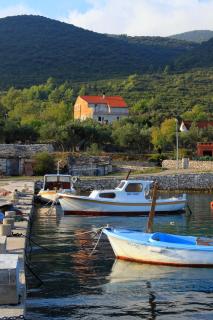 Apartments by the sea Kneza, Korcula - 9164 - 0
