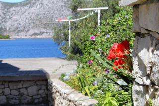 Apartments by the sea Kneza, Korcula - 9166 - Pupnat - 4