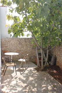 Apartments by the sea Zdrelac - Pasman - 8046 - 3