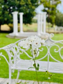 Roodekloof Boutique Guest Farm - 7