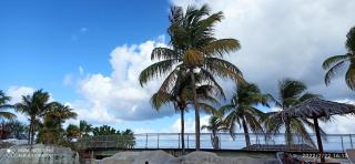 Eden 's paradise - 2