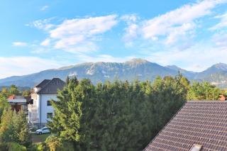 Centrally located, with castle view and 2 parkings - 2