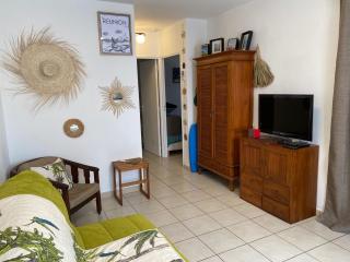 Meublé 'Blue Costata' proche lagon de la Saline - 1