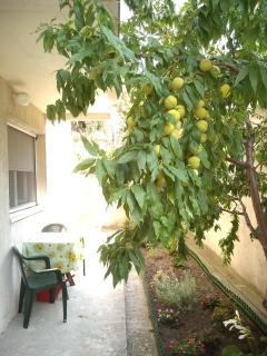 Ada Belgrade Apartment - 1