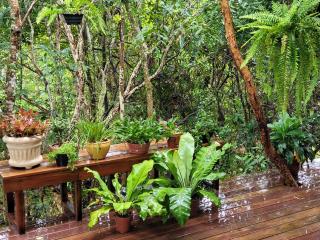 Casa Dharma - Conforto e Silêncio - 8