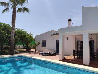 Villa with Private Pool, BBQ, Fitness Center & Sauna - San Vicente del Raspeig - 8