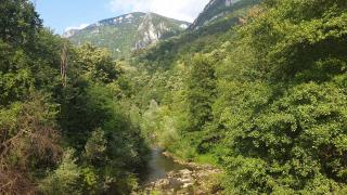 Casa Arion - Băile Herculane - 4