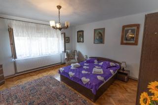 Doi Bujori - Alba Iulia - 6