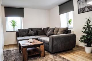 Wohlfühlen am Großen Goitzschesee inkl. Netflix - Holzweißig - 8