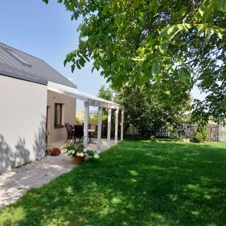 Domek przy winnicy - - 0