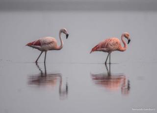 VagaMundo Hostel Carhue - 9