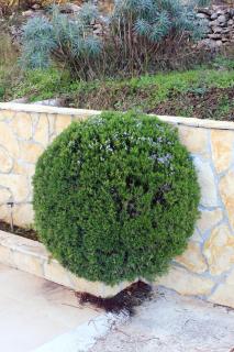 Apartments with a parking space Okrug Gornji, Ciovo - 9441 - 2