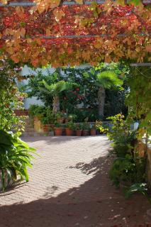 Apartments by the sea Kustici, Pag - 9360 - 3