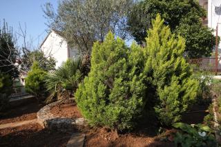 Apartments by the sea Okrug Gornji, Ciovo - 9469 - Trogir - 4