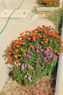 Apartments by the sea Dinjiska, Pag - 9386 - 3