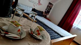 Pension Transilvania - 0