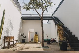 Casa Carmen Morelos - Città di Oaxaca - 9