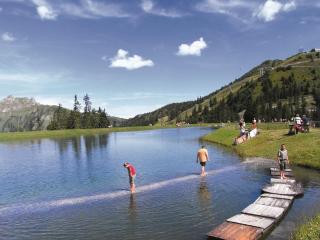Landhotel Steindlwirt - Dorfgastein - 1