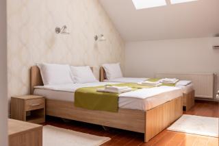 MARCONI GUESTHOUSE - Hunedoara - 6