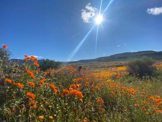 Iziba Principality - Clanwilliam - 1