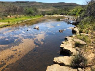 Iziba Principality - Clanwilliam - 2